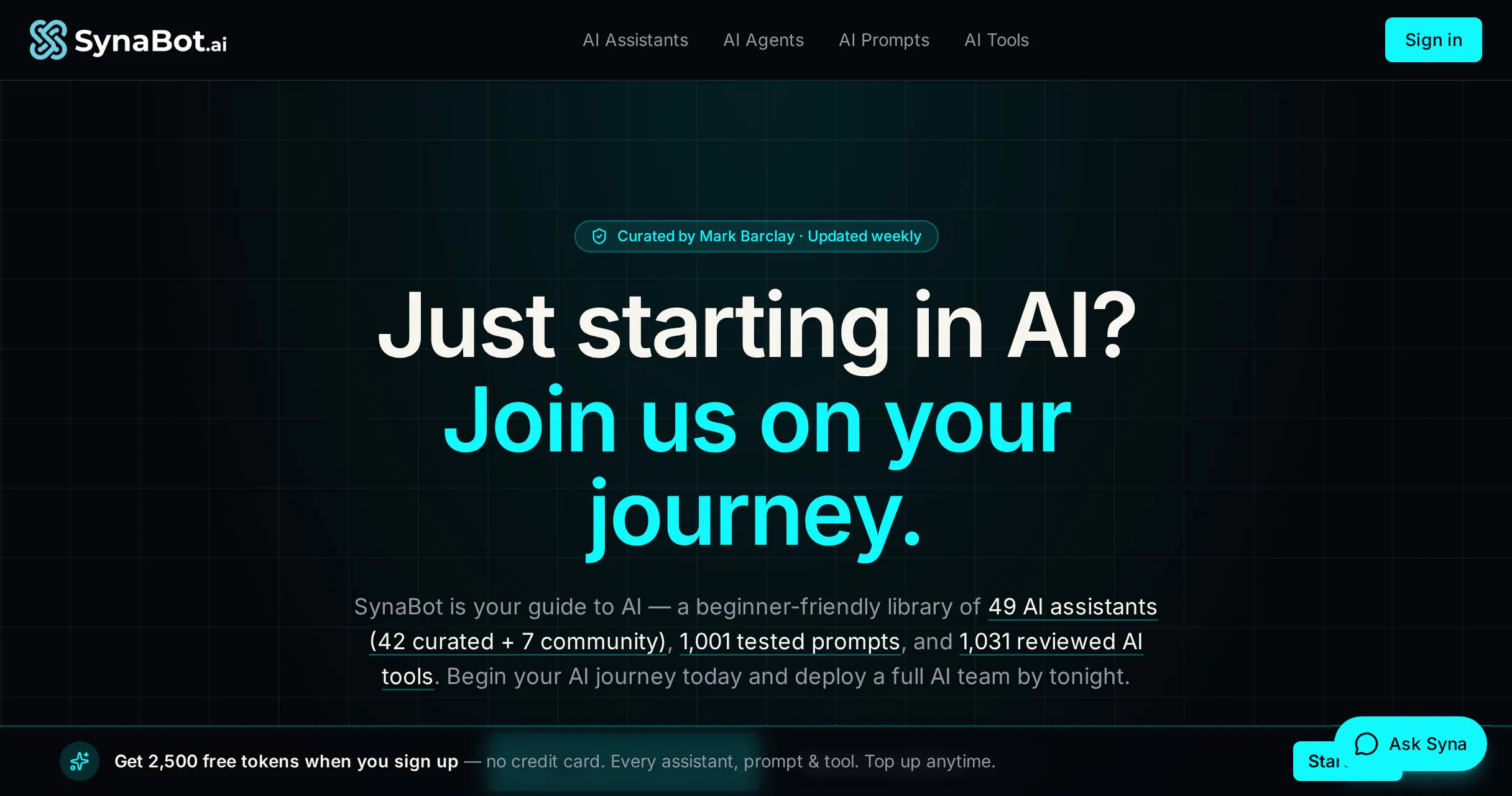 SynaBot AI gallery image