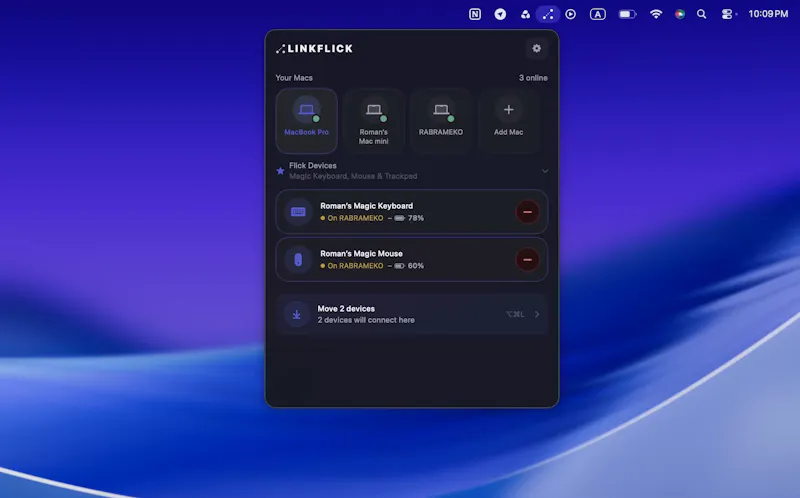 LinkFlick screenshot 2