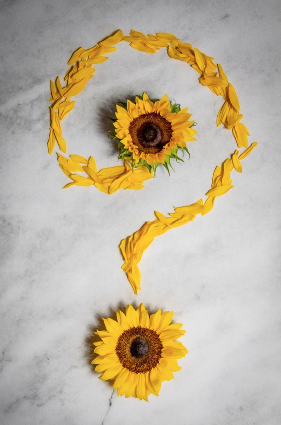 Commit Muse gallery image