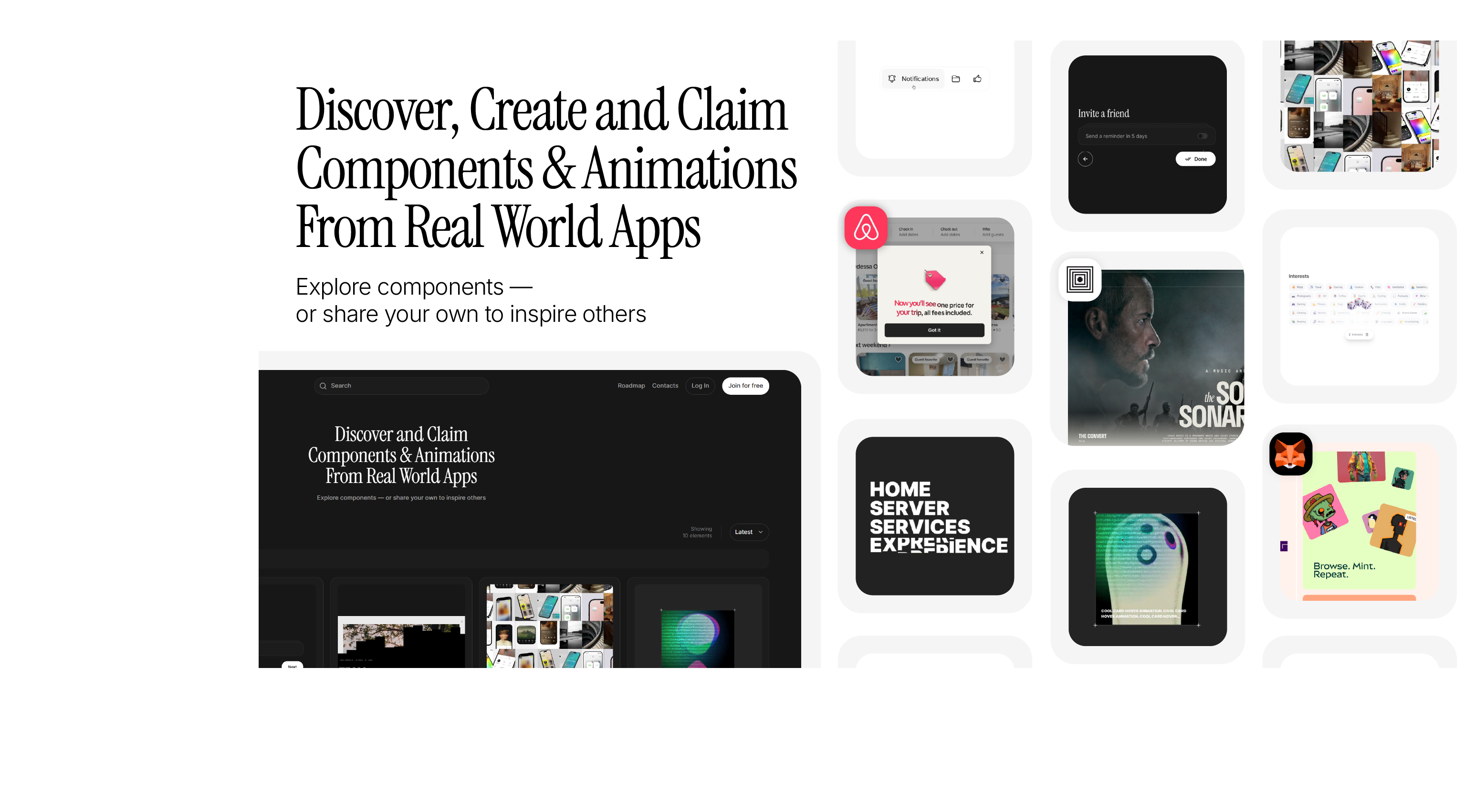 Cmllia gallery image