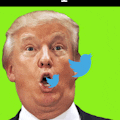 Trump Heads