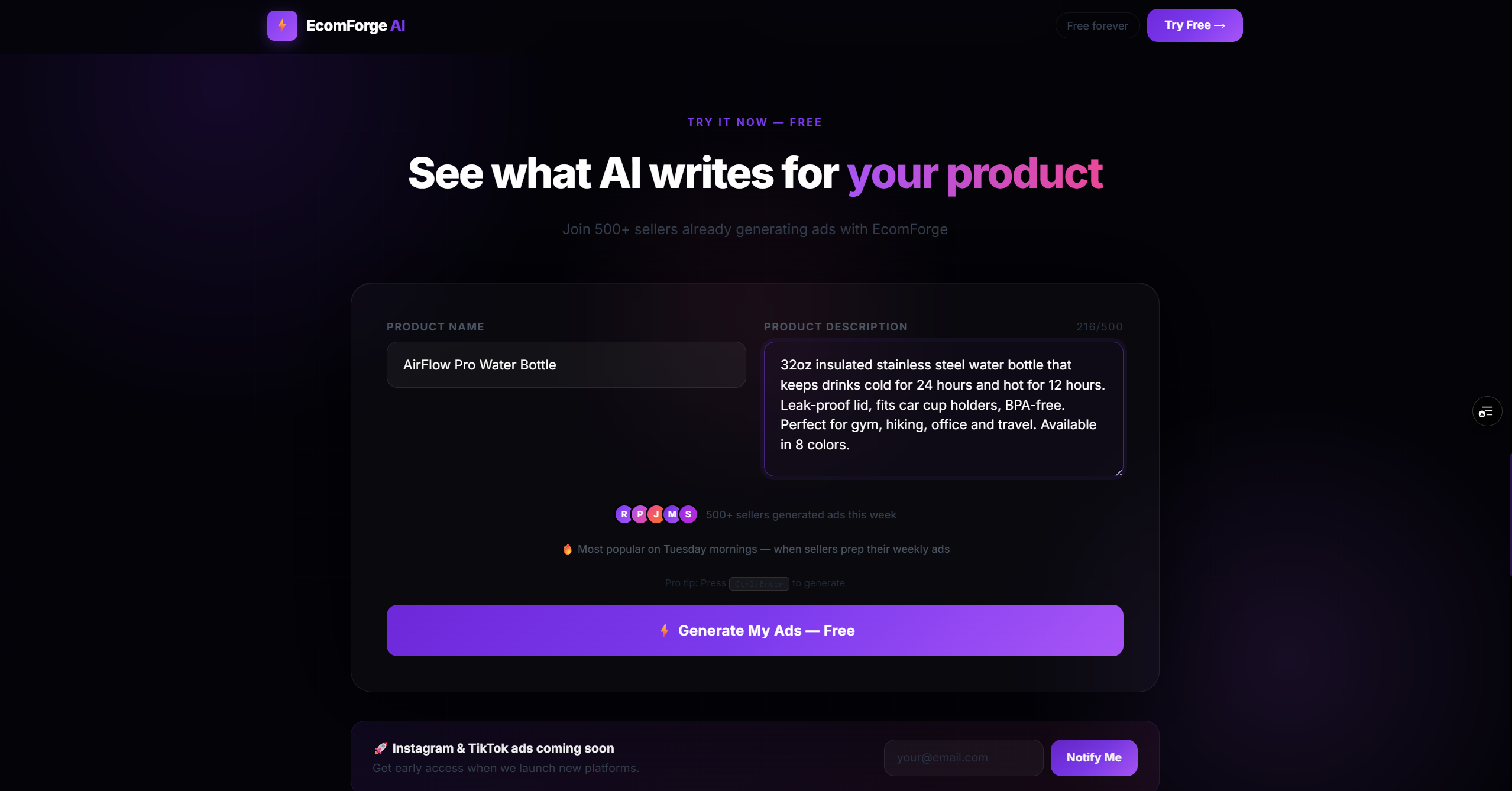 EcomForge AI gallery image