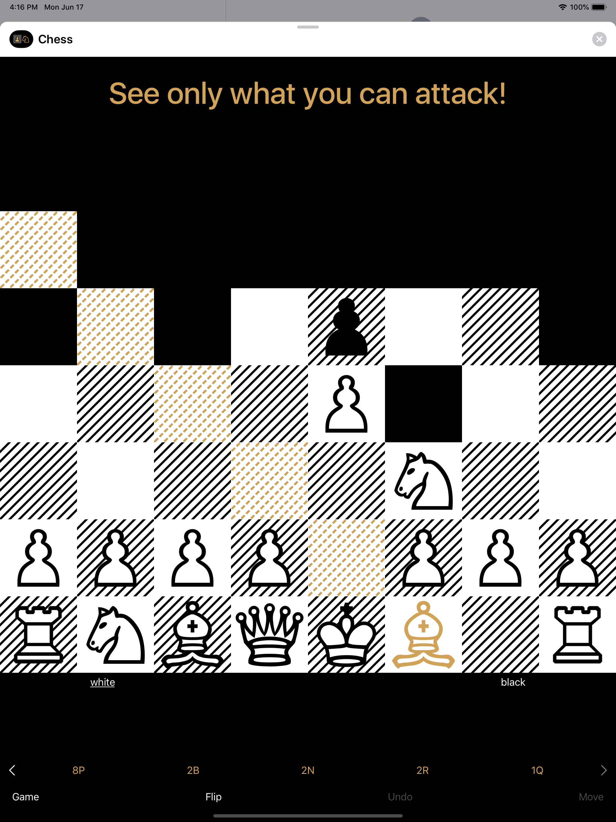 Chess gallery image