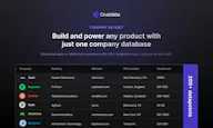 Company Dataset