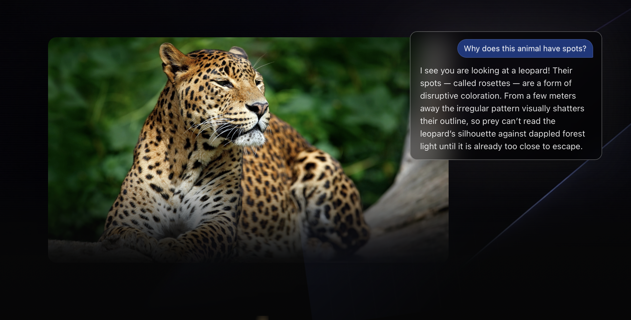Jarvis gallery image