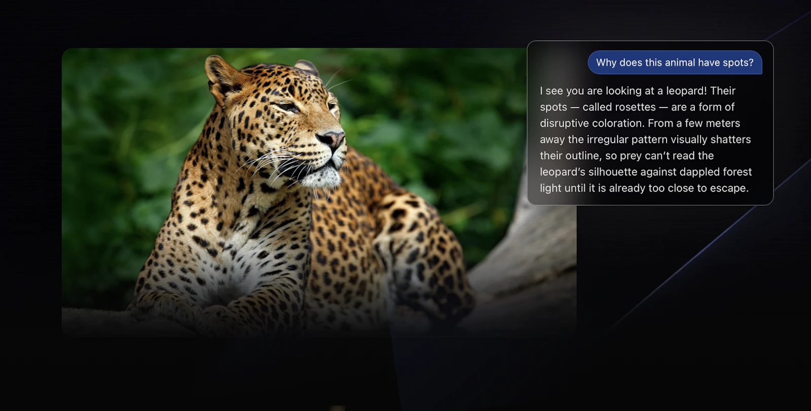 Jarvis screenshot 4
