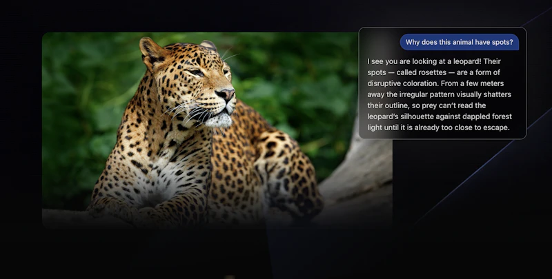 Jarvis screenshot 4
