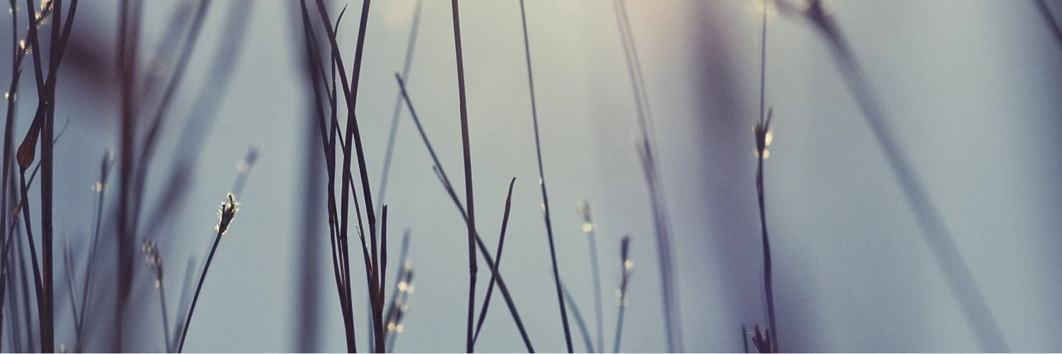 Danny McCarthy cover