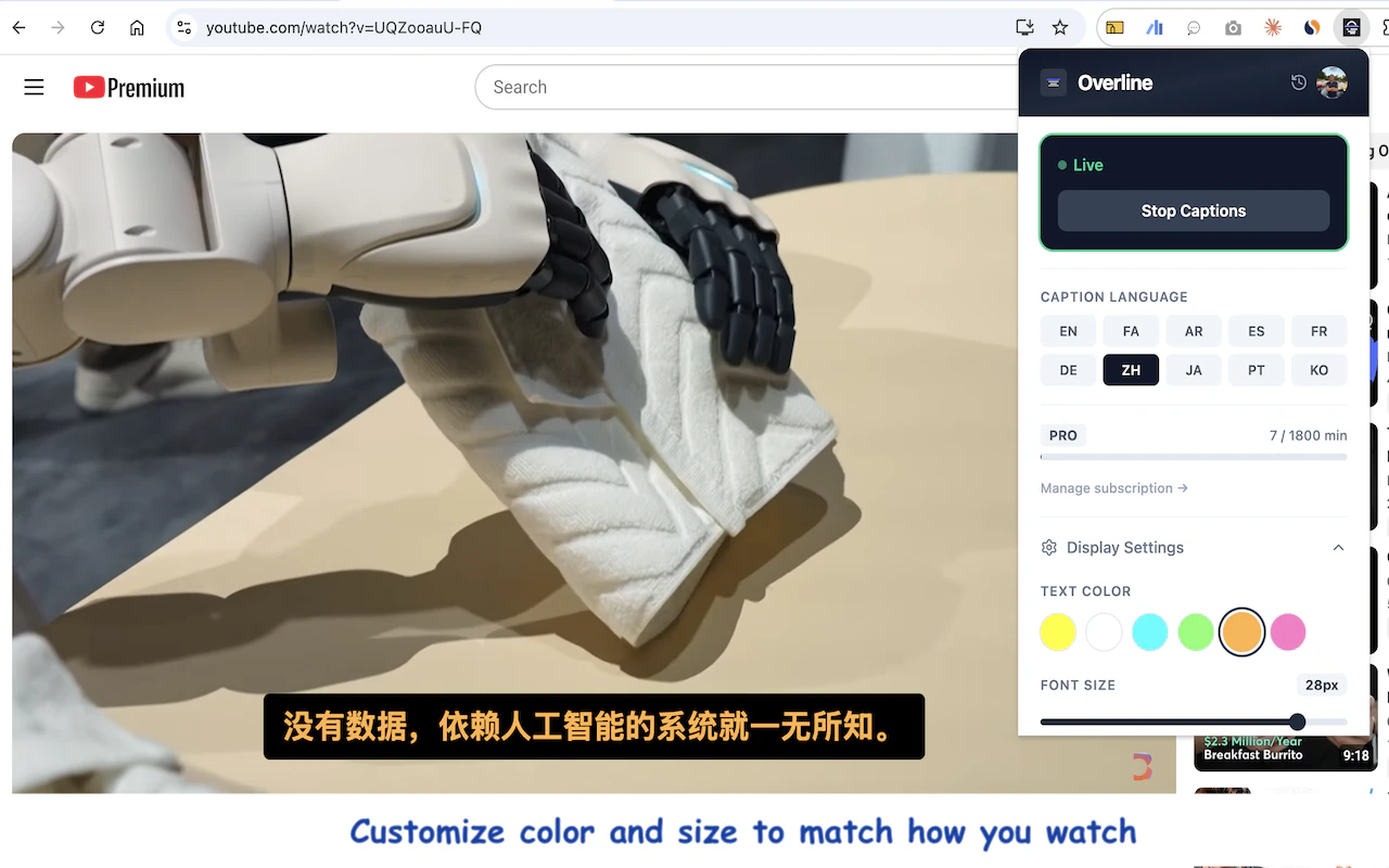 Overline screenshot 3