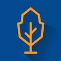 Papertree