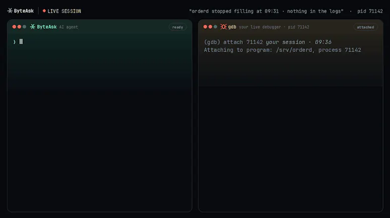 Coding harness for C/C++ developers gallery image