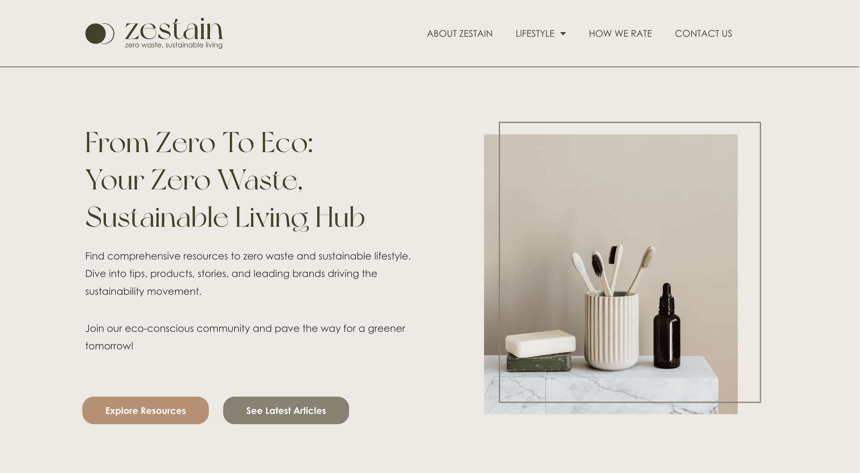 Zestain media 2