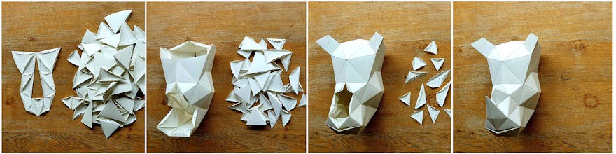 CARAPACES: First DIY Origami 3D Puzzle gallery image