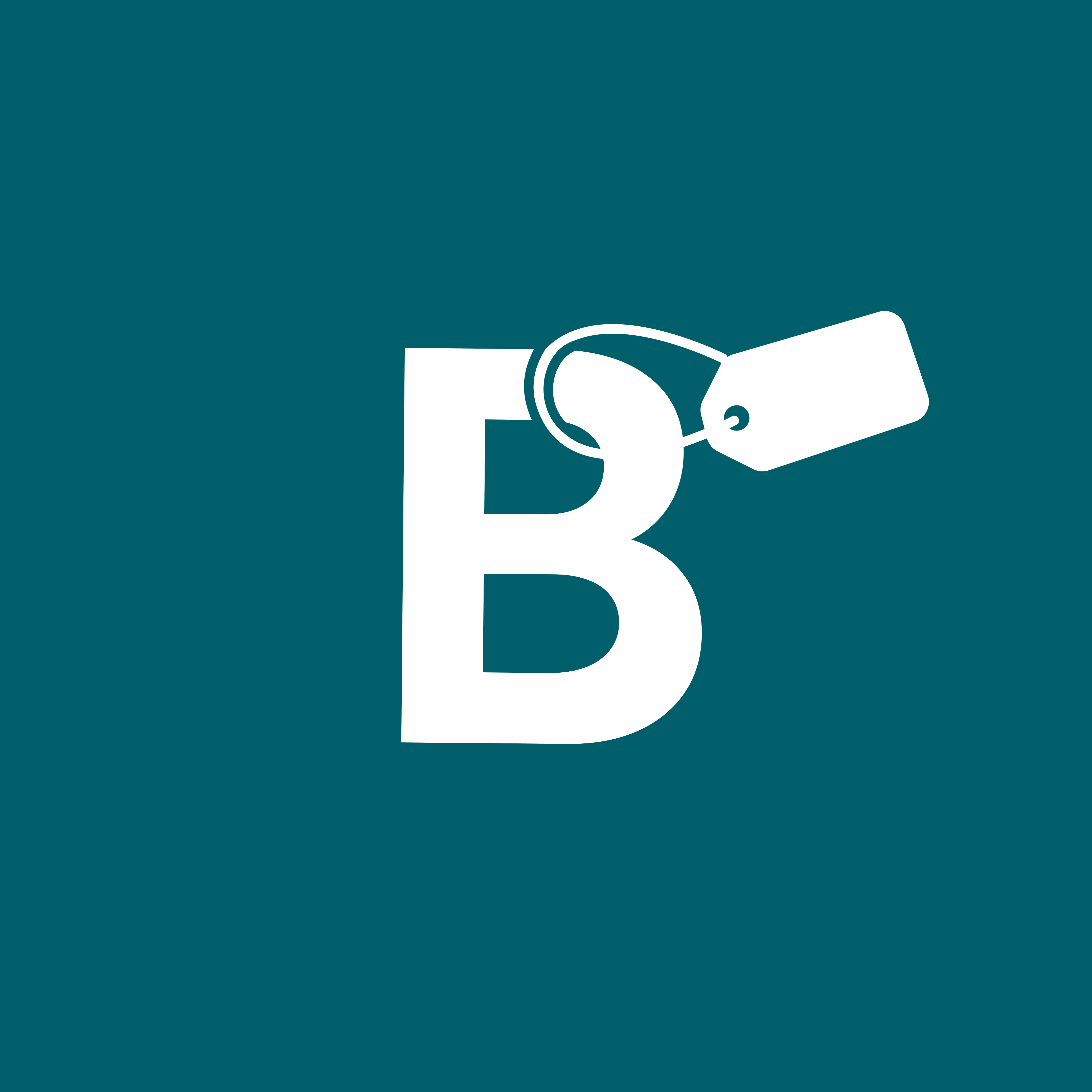 Braviero