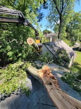 Tree Removal Services In USA gallery image