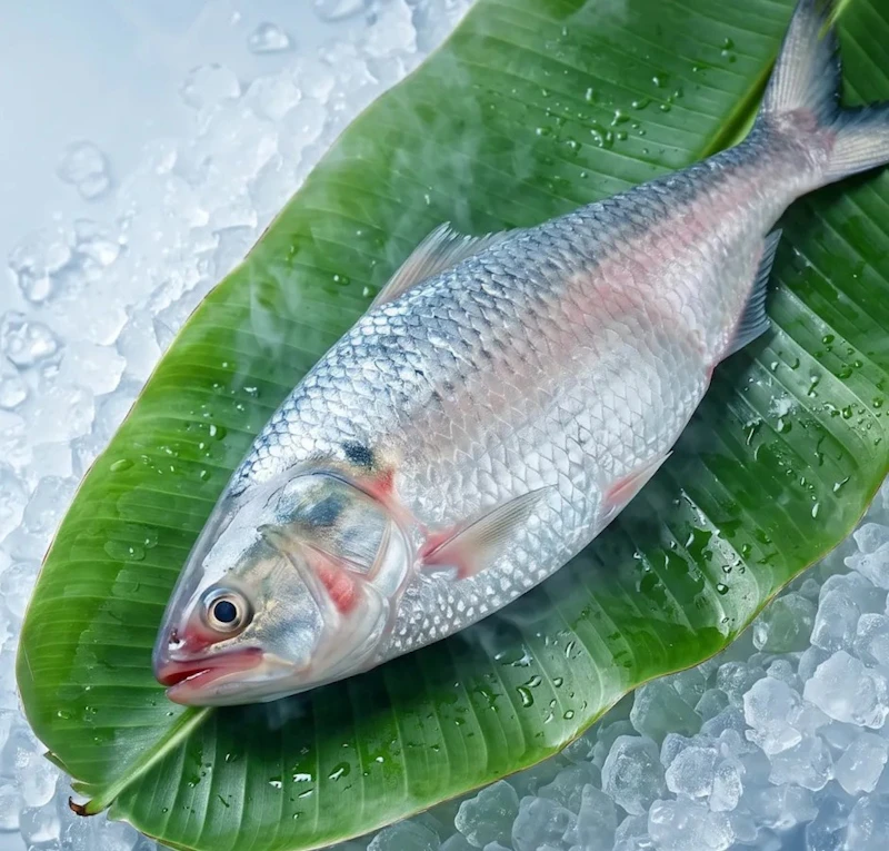 Fish Carnival screenshot 3