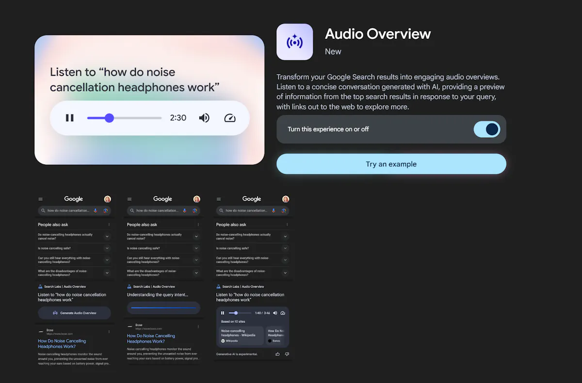 Audio Overview