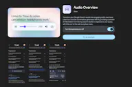 Audio Overview