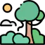 The Rainforest