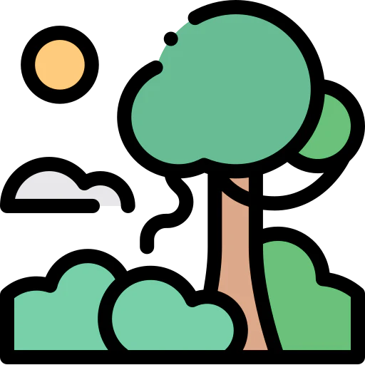 The Rainforest