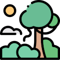 The Rainforest