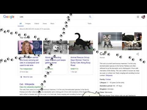 catcatcatcaaaaaaaaaaaaat gallery image