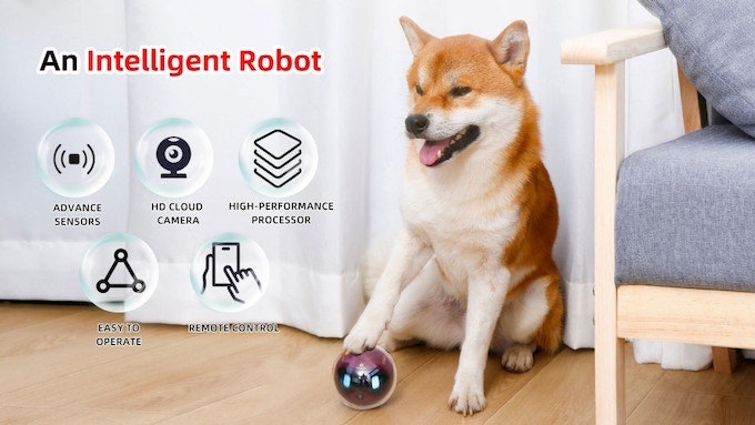 Rollbot媒体3