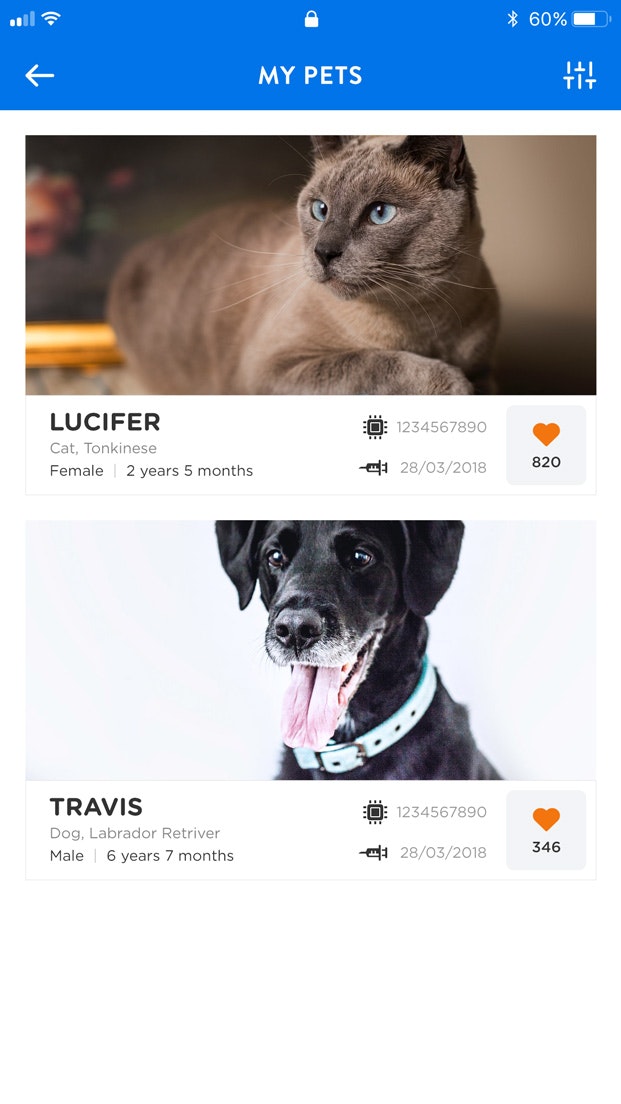 Petterr gallery image