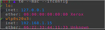 Te - Display network information in colors from the terminal
