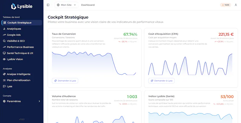 Lysible - Outil d'Analyse de Données Web screenshot 4