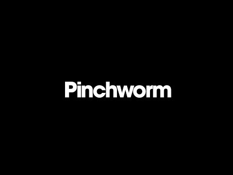 Pinchworm gallery image