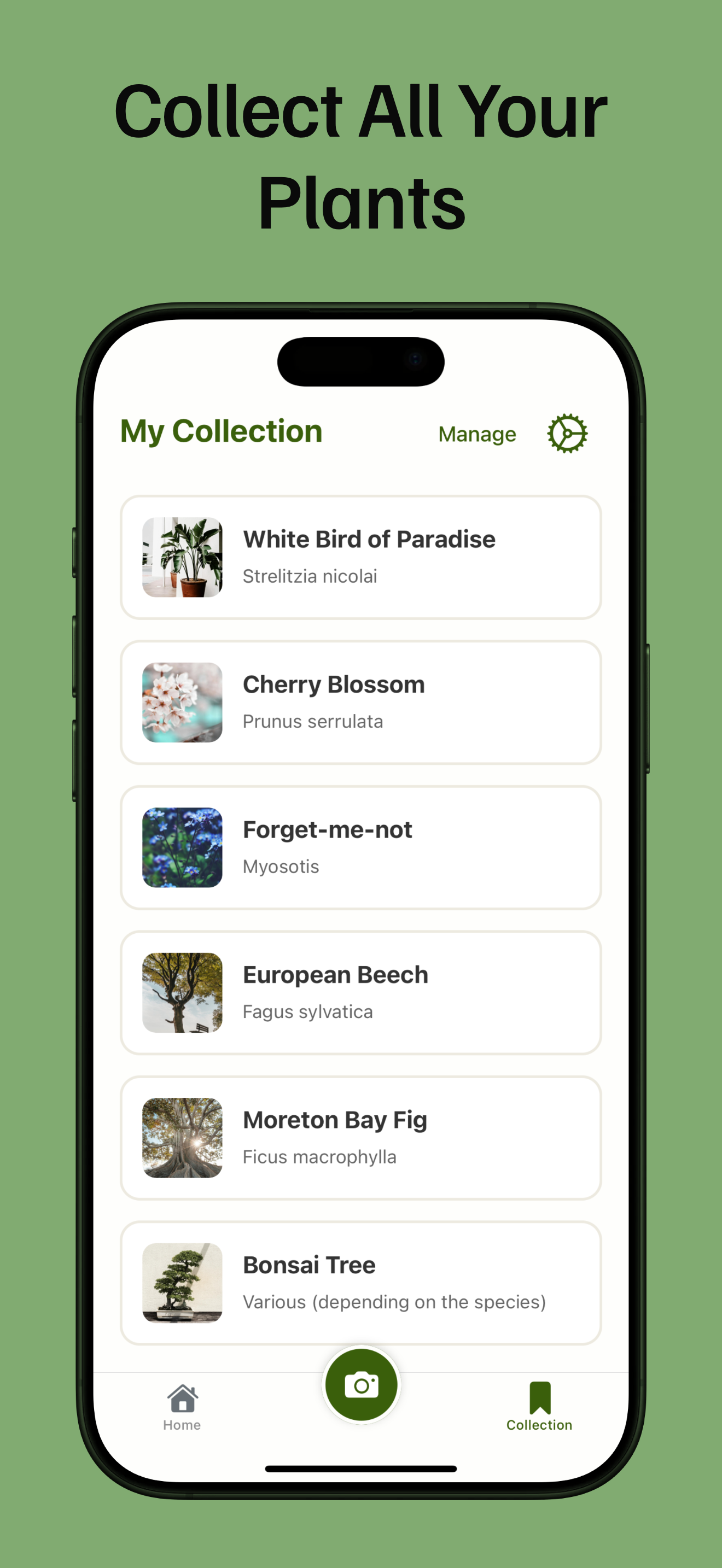 PlantLore media 6