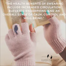 Flip'em the Bird - Fingerles Gloves gallery image