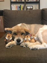 Your Weekly W(h)ine gallery image