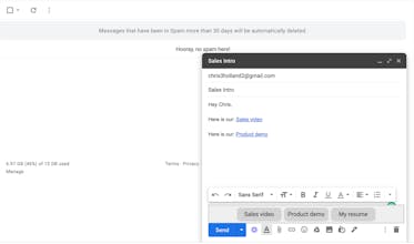 Link Holster gallery image
