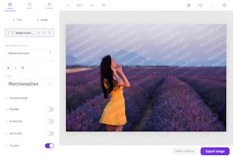 Watermark.pro gallery image