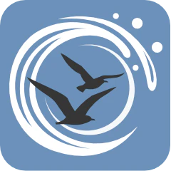 Virtual Ocean Simulator