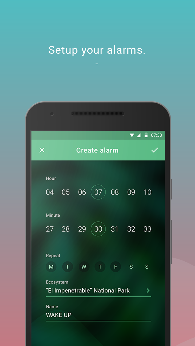 EcoAlarm gallery image