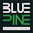 Blue Pine Mountain Homes