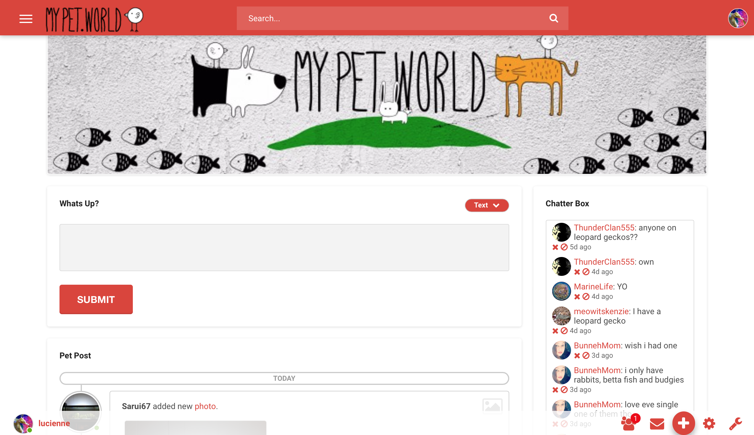 My Pet World gallery image