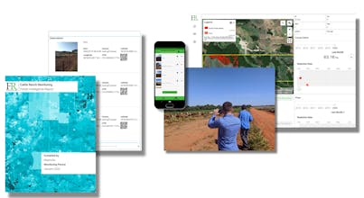 Forest Report gallery image