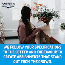 Academic Essay Writing Service gallery image