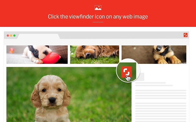 Shutterstock Reveal gallery image