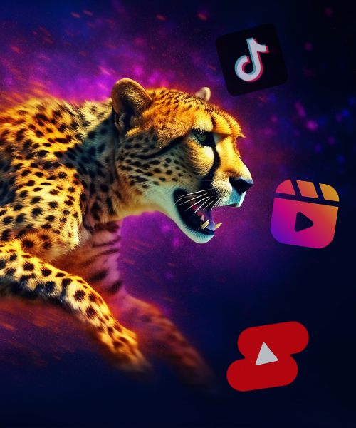 Cheetahclips media 3