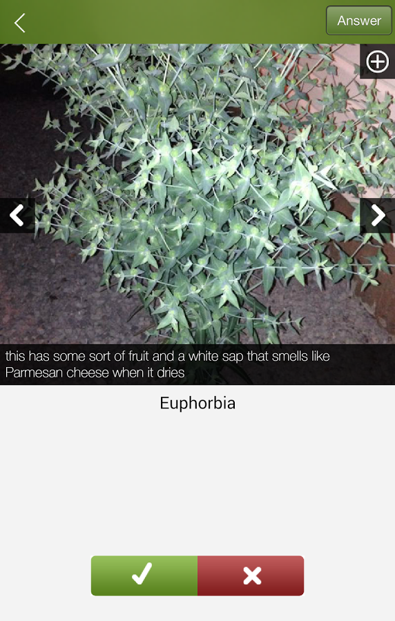 Plantifier gallery image