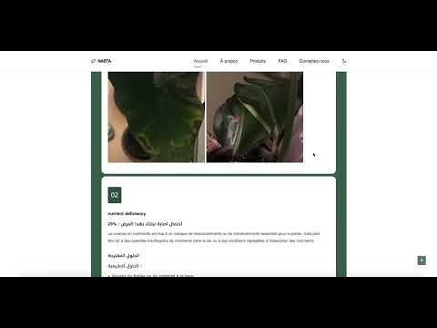 NABTA.MA gallery image