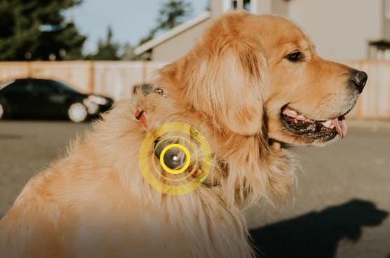 FOUND GPS Location Tracker gallery image