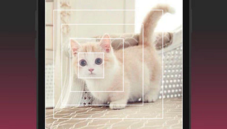 PicToGIF gallery image