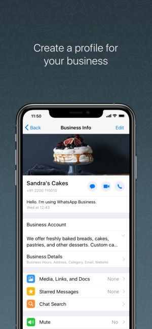 WhatsApp Business iOS Image