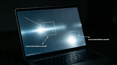 Screen Issues gallery image